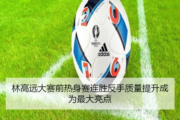 林高远大赛前热身赛连胜反手质量提升成为最大亮点