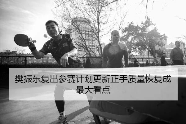 樊振东复出参赛计划更新正手质量恢复成最大看点